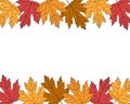 Postcard frame autumn maple leaves on a white background vector illustration Royalty Free Stock Photo